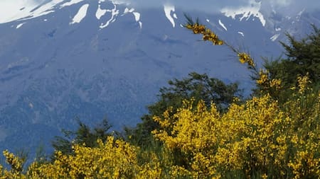 Volcán Calbuco, Chile. Foto: Instagram.