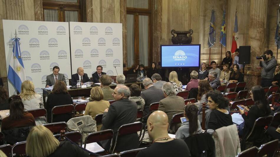 Debate por el aborto en el Senado - NA -