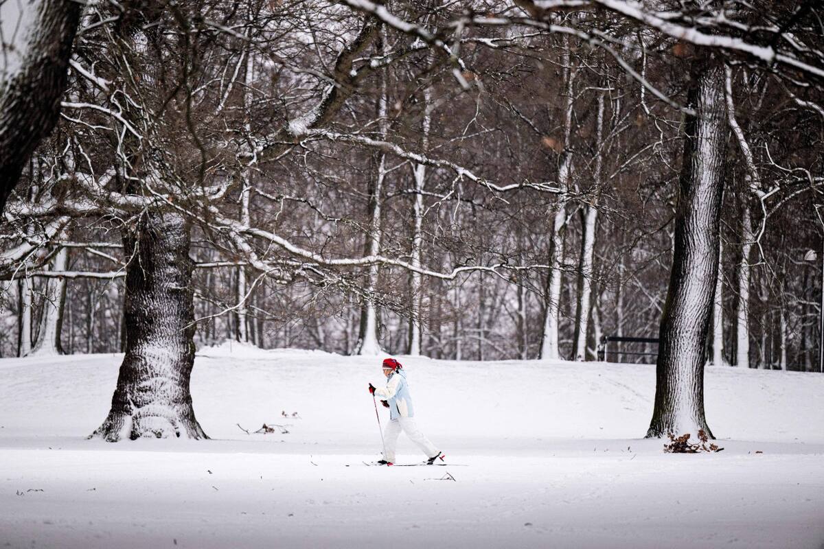 Nieve. Foto: NA.
