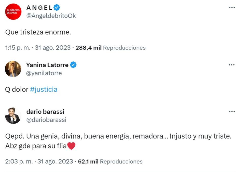 Los famosos despidieron a Silvina Luna. Foto: captura de pantalla.