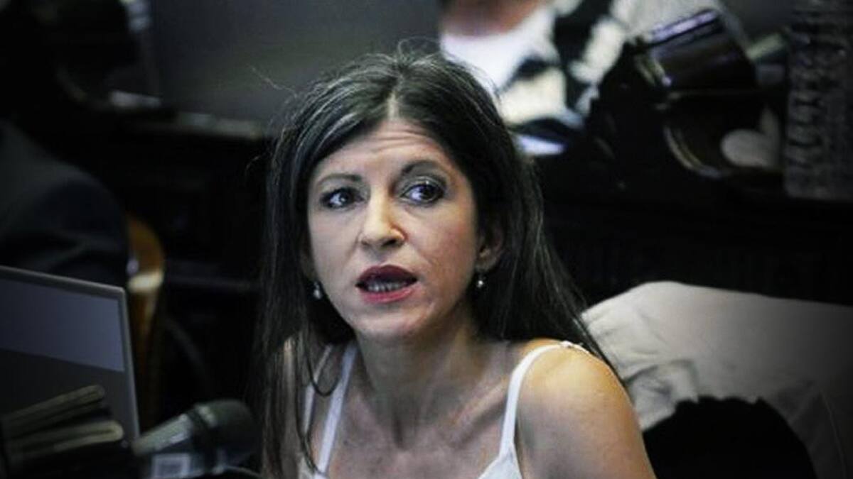 Fernanda Vallejos, Frente de Todos, Cámara de Diputados, NA