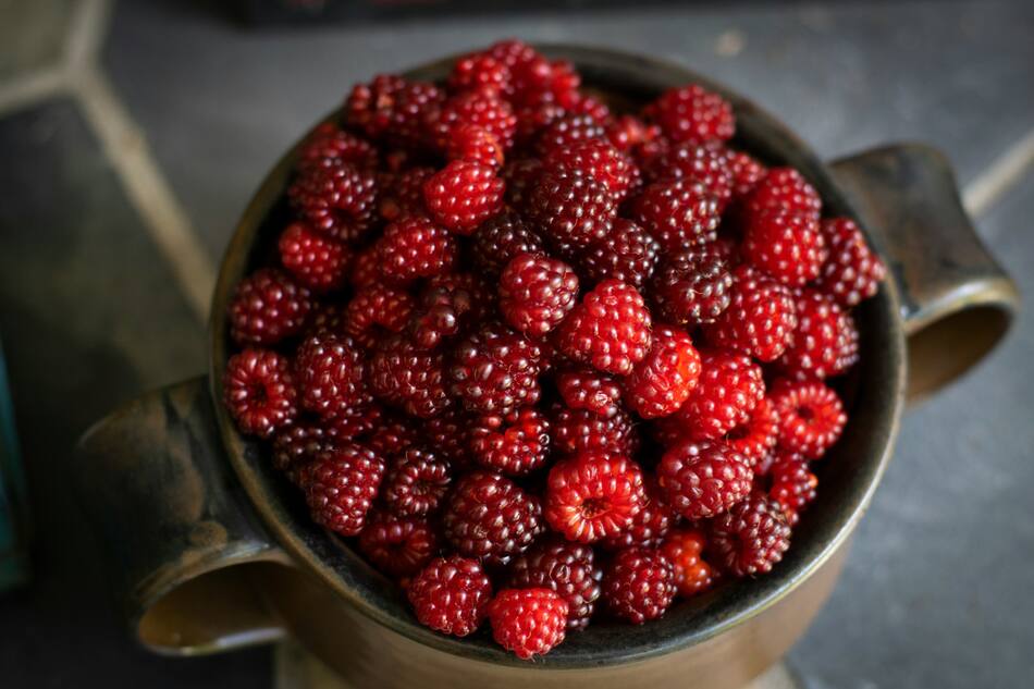 Desayuno, yogurt, comida, frambuesa, fruta. Foto: Unsplash