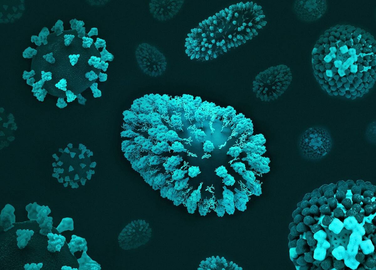 Gripe; microbio; enfermedad. Foto: Unsplash.