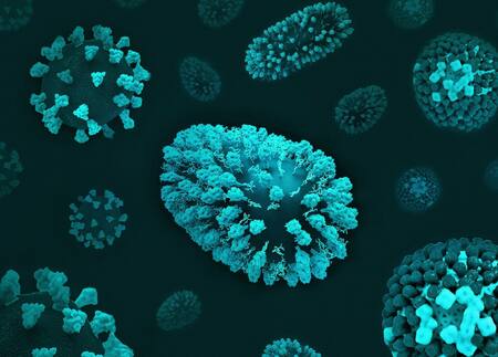 Gripe; microbio; enfermedad. Foto: Unsplash.