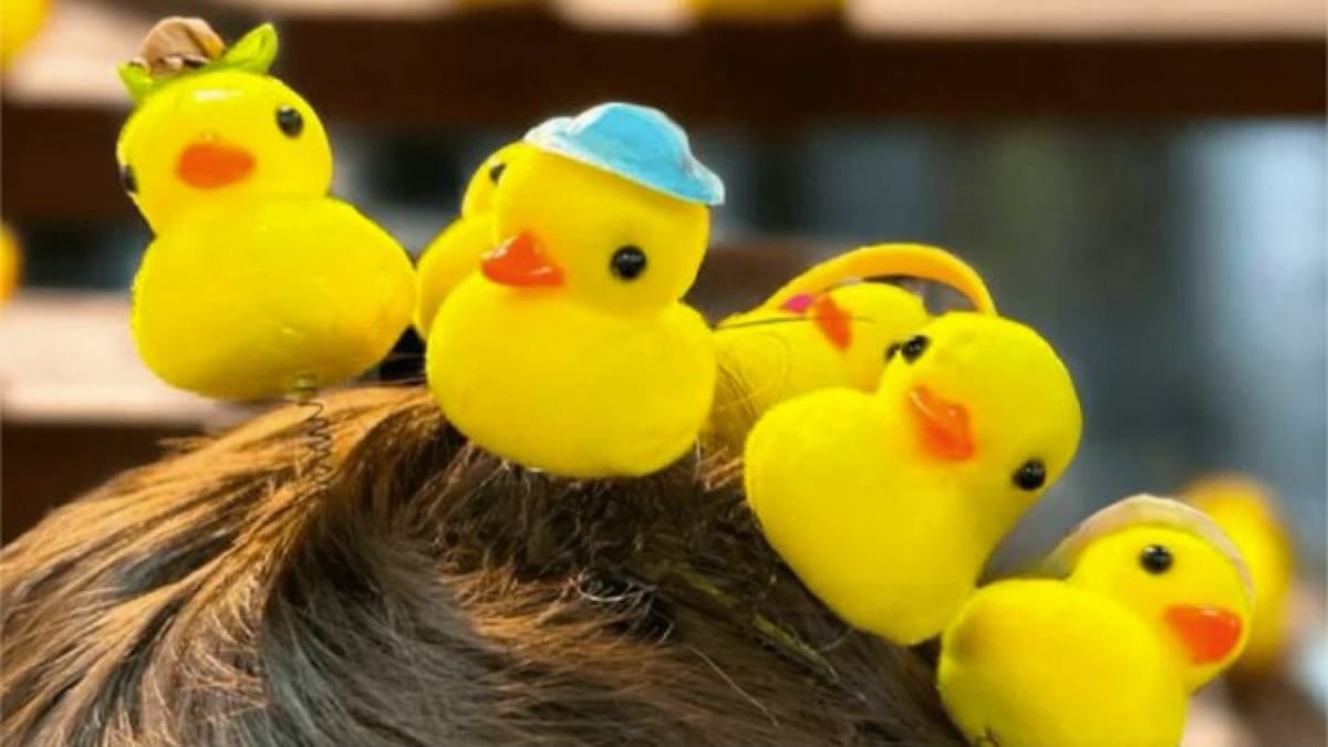 Furor por la moda Kawaii: qué significa usar un patito amarillo en la cabeza y cómo comenzó
