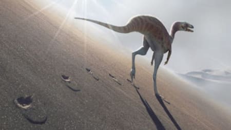 Hallan una nueva especie de dinosaurio en Brasil. Foto NA.