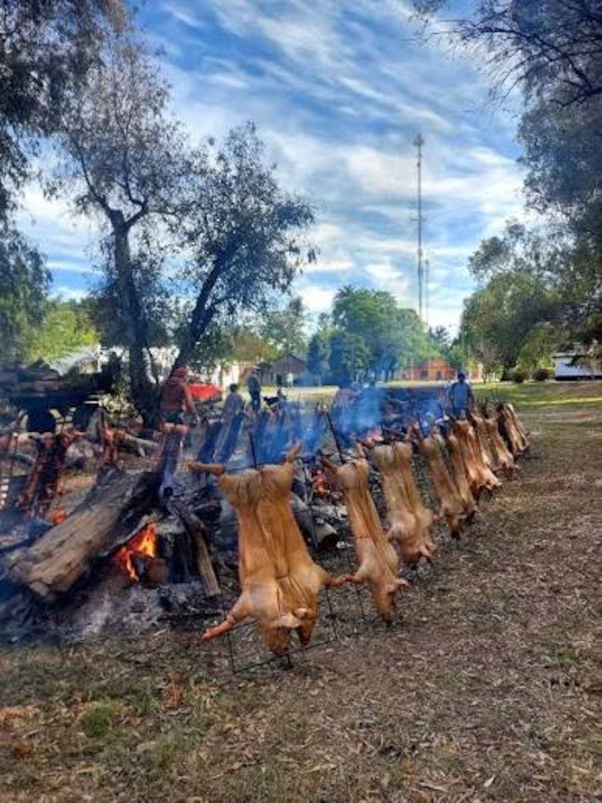 Fiesta de la Lechonada