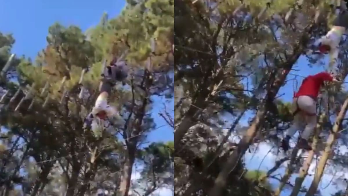 Dramático rescate de una niña de 11 años que quedó colgada a 10 metros de altura. Foto: Captura de pantalla.