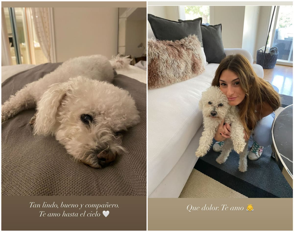 Las historias de Lola Latorre. Foto: Instagram.