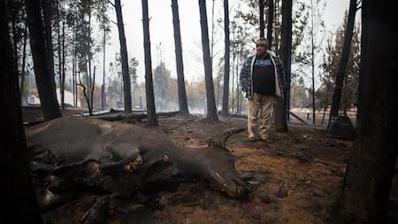 Incendios en la Patagonia, Chubut, NA.