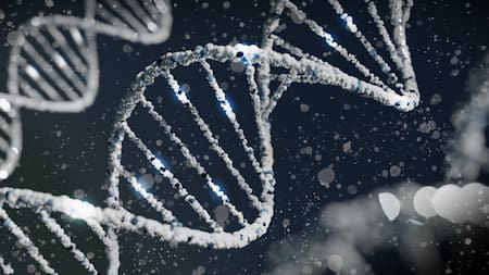 Genes, genética, ciencia. Foto: Unsplash