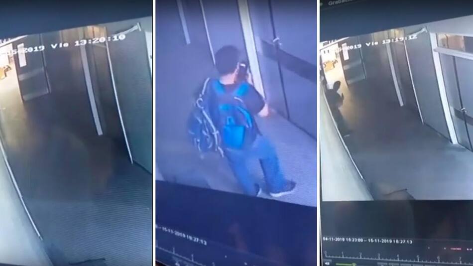 Robaron un ecógrafo en el Hospital de Niños de La Plata