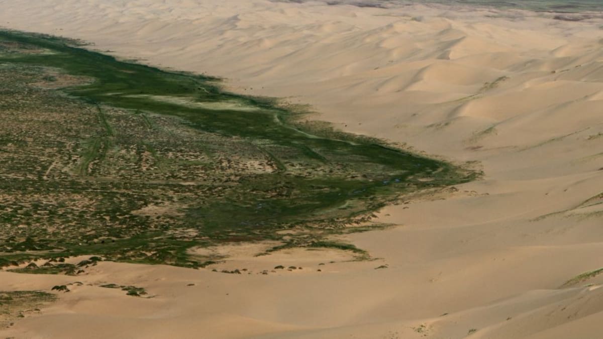La Gran Muralla Verde de China, una reforestación masiva.