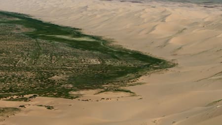 Cómo es la Gran Muralla Verde de China: una reforestación histórica para frenar los desiertos que terminó alterando el clima