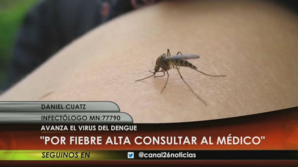Virus del Dengue - Infectólogo Daniel Cuatz (Canal 26)