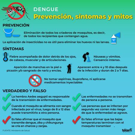 Dengue. Infografía: Télam