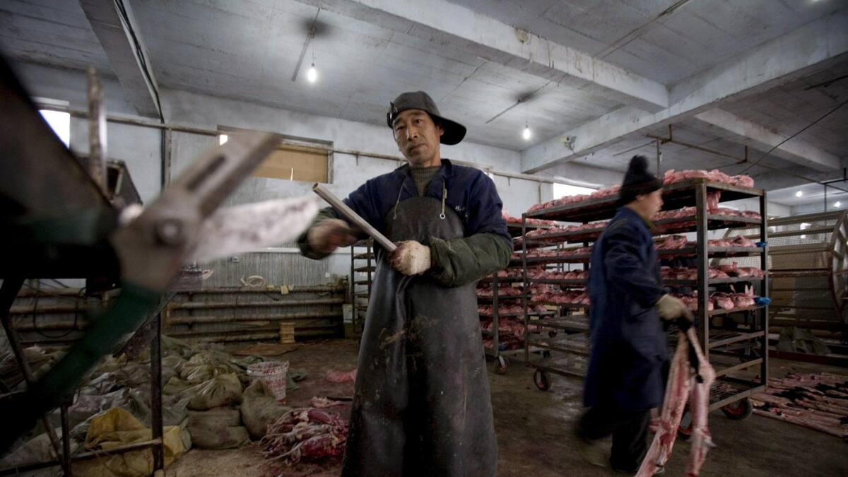 Identifican 39 virus de alto riesgo en granjas peleteras de China. Foto: EFE.