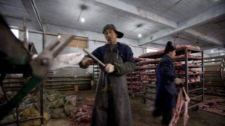 Identifican 39 virus de alto riesgo en granjas peleteras de China. Foto: EFE.