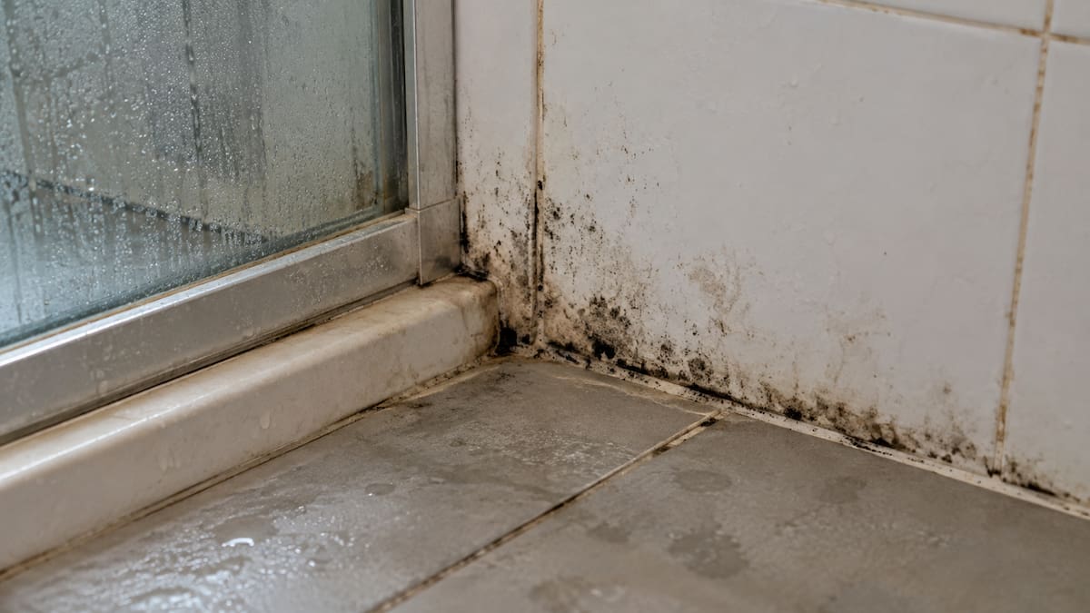 Baño; suciedad; limpieza; higiene.