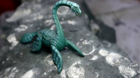 Descubren los restos de un reptil marino de 70 millones de años en la costa chilena. Foto: X/@uchile