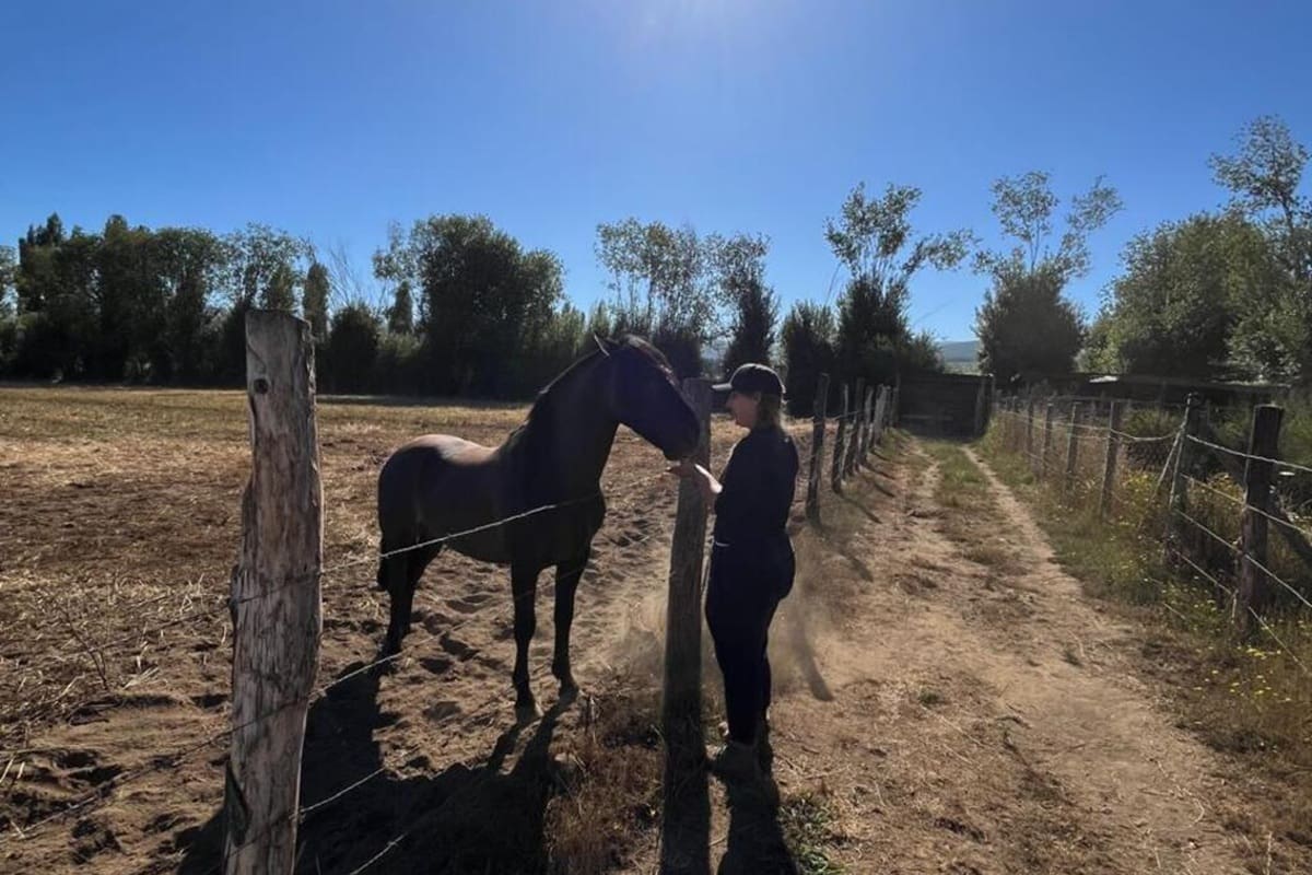 Los anfitriones buscan personas que disfruten del contacto con la naturaleza y tengan afinidad con los animales. La iniciativa combina bienestar animal y desarrollo rural.