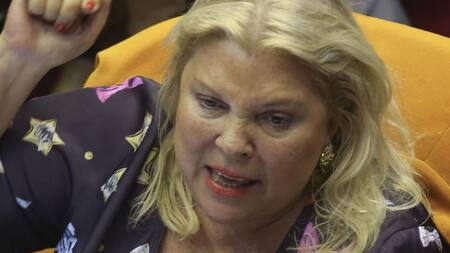 Elisa Carrió, Foto NA