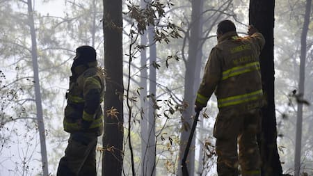 Incendios en México. Foto: EFE.