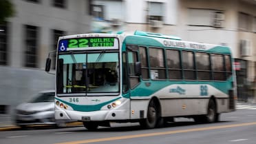 Colectivos gratis en AMBA: los requisitos para no pagar el boleto y viajar sin cargo