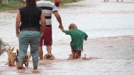 Wichís, desnutrición