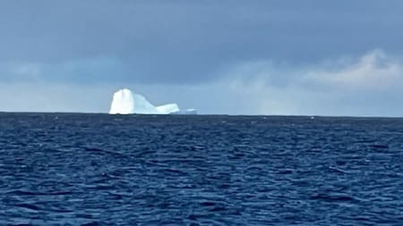 El iceberg que fue divisado cerca de la costa de Ushuaia. Foto: Prefectura.