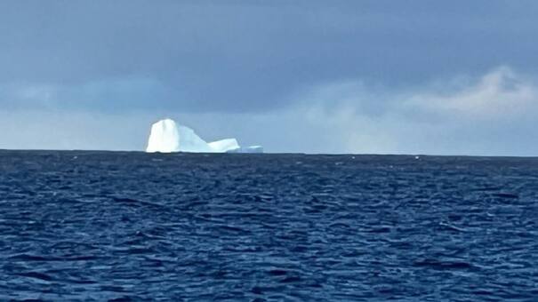 Alerta en Ushuaia por la presencia de un iceberg cerca de la costa