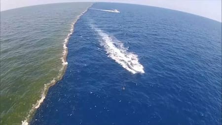 Océano Pacífico y Atlántico. Foto X.