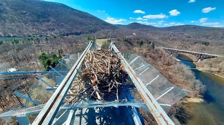 Así son los nidos de acero en Nueva York. Fuente: New York State Bridge Authority)