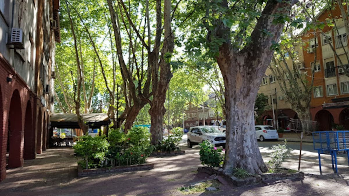El barrio escondido de Buenos Aires que es un verdadero jardín.