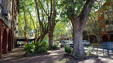 No es Devoto: el barrio escondido de Buenos Aires que es un verdadero jardín y sus calles llevan nombres de flores