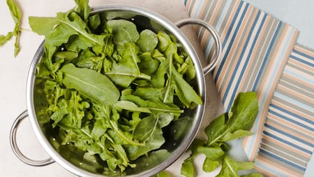 Los cuidados para cultivar acelga. Foto: Freepik.