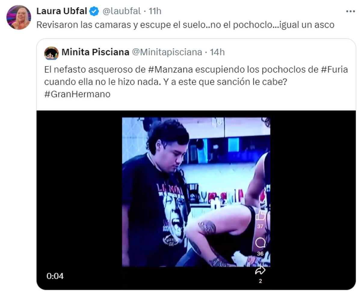 La aclaración de Laura Ubfal respecto a la actitud de Manzana. Foto: X.