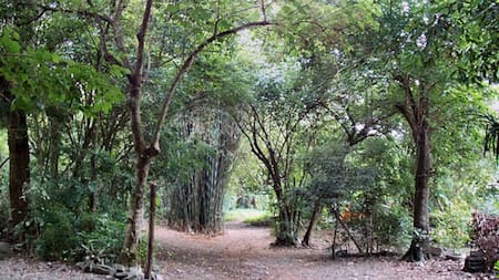 Parque Sierra San Javier. Fuente: Turismo Tucumán