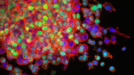 Sistemas microscópicos. Foto: Unsplash.