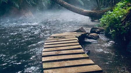 Selva amazónica. Foto Unsplash.