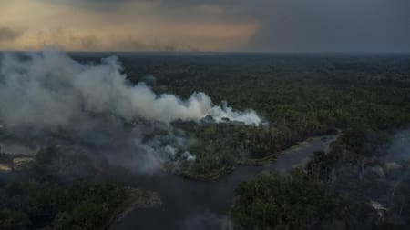 Los incendios se disparan en el centro de la Amazonía brasileña. Foto EFE.