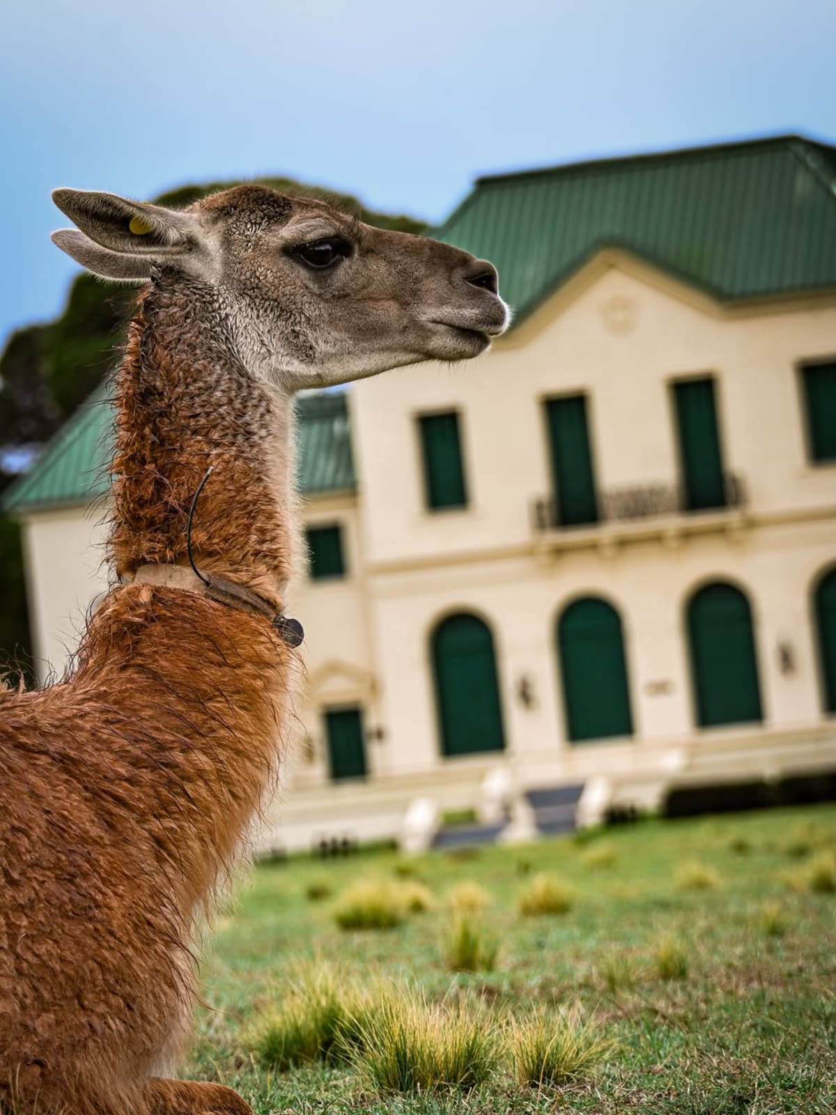 Reserva Parque Luro en La Pampa
