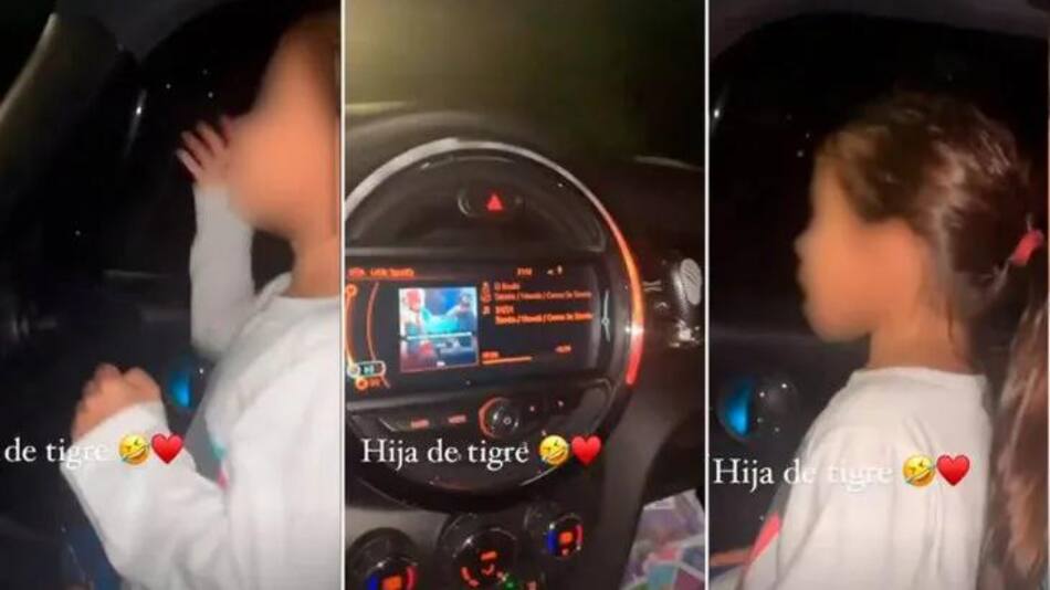 Seguridad Vial pidió la suspensión de la licencia de Matías Defederico, grabó video manejando con su hija