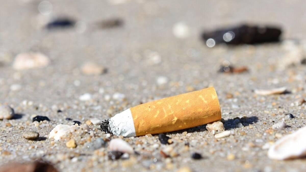 Sanciones para quienes fumen en las playas.