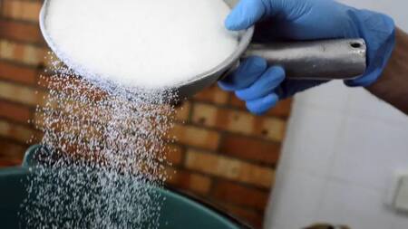 Producción de azúcar. Foto: Reuters