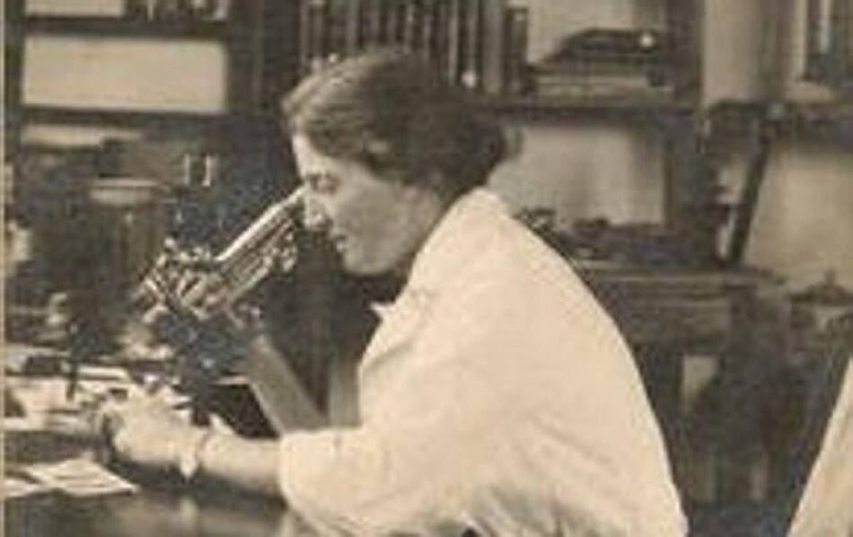 ¿Quién es Lucy Wills, la hematóloga honrada por Google?