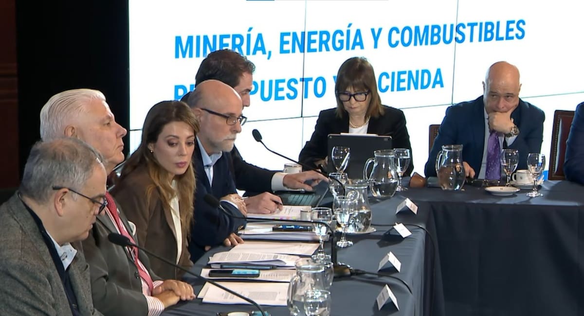 Plenario de Minería, Energía y Presupuesto senado