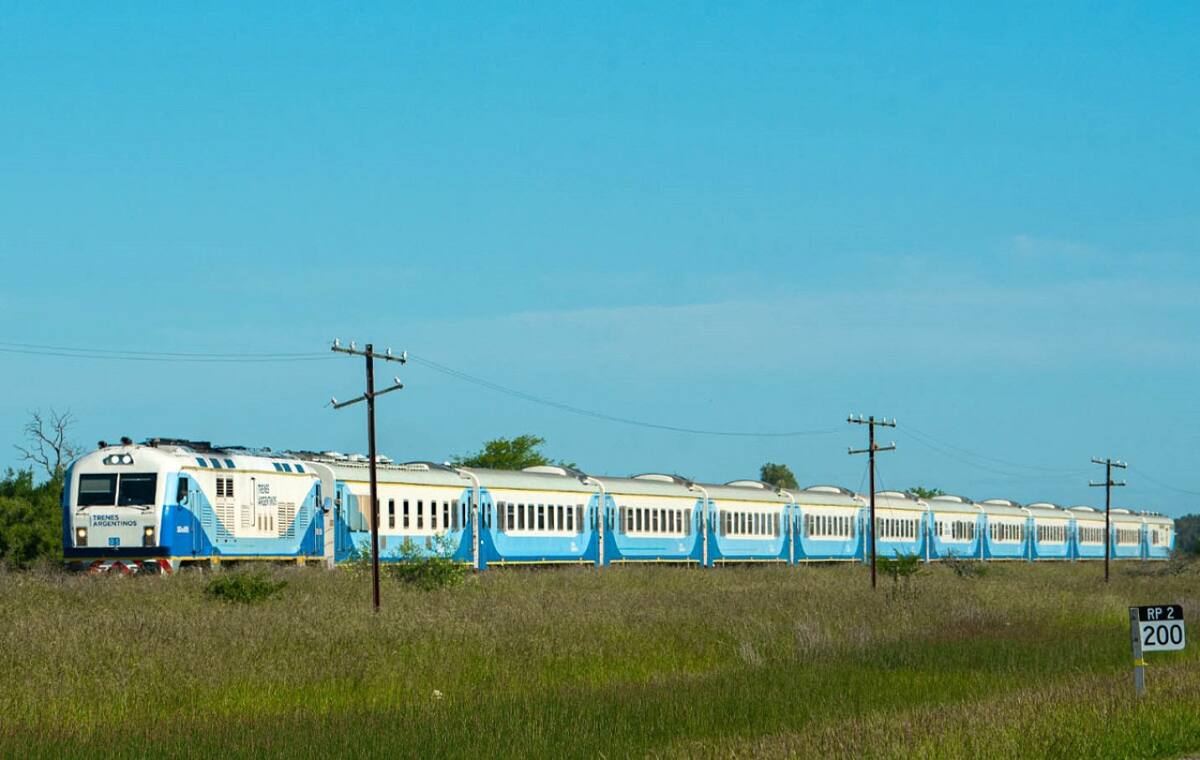 Trenes de larga distancia. Foto: NA.