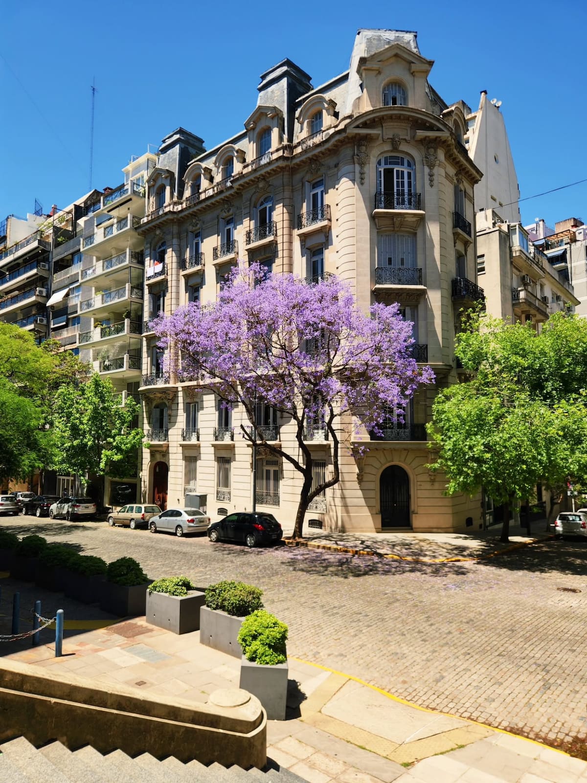 Jacarandás