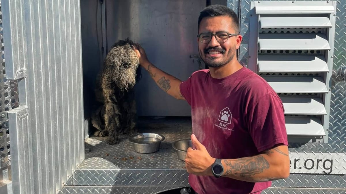 El rescate de Georgie: escucharon llantos durante días detrás de una pared, rompieron el concreto y encontraron un perro atrapado